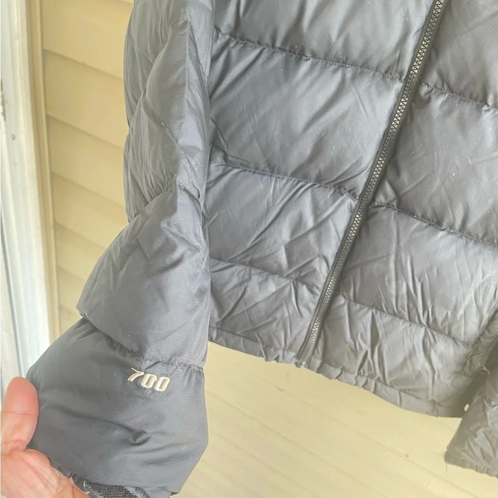 The North Face Nuptse 700 Down Jacket Blue Speckled